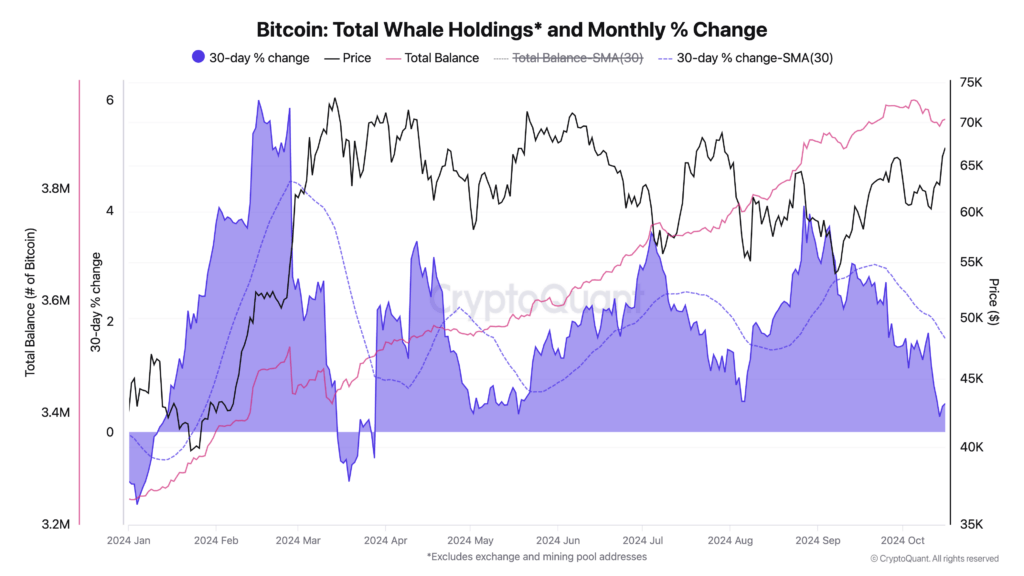 Whales Total Bitcoin Holdings | Source: CryptoQuant