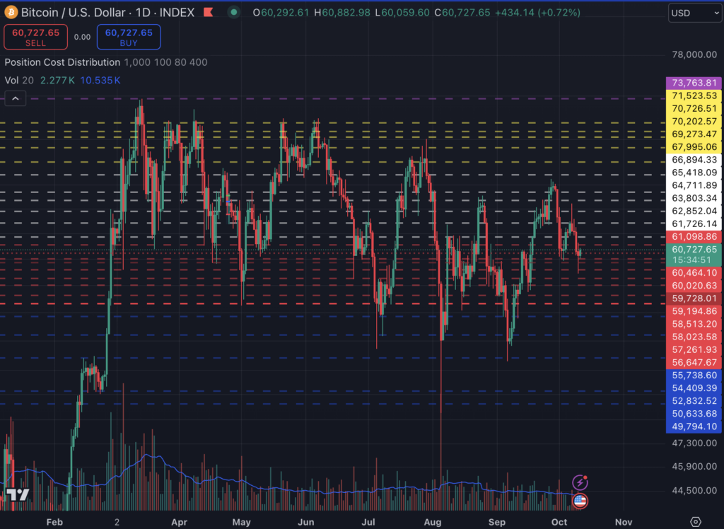 Canales comerciales de Bitcoin 2024 (TradingView)