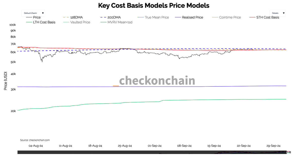 Bitcoin hits support from key level at short-term holder cost basis