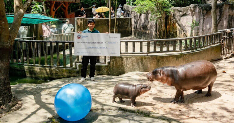 SUI meme $HIPPO enters into charity partnership with Moo Deng’s zoo
