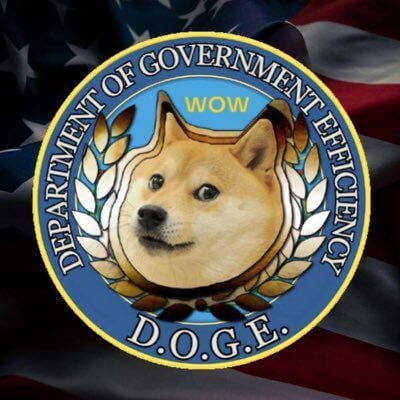Department Of Government Efficiency (dogegov.com)