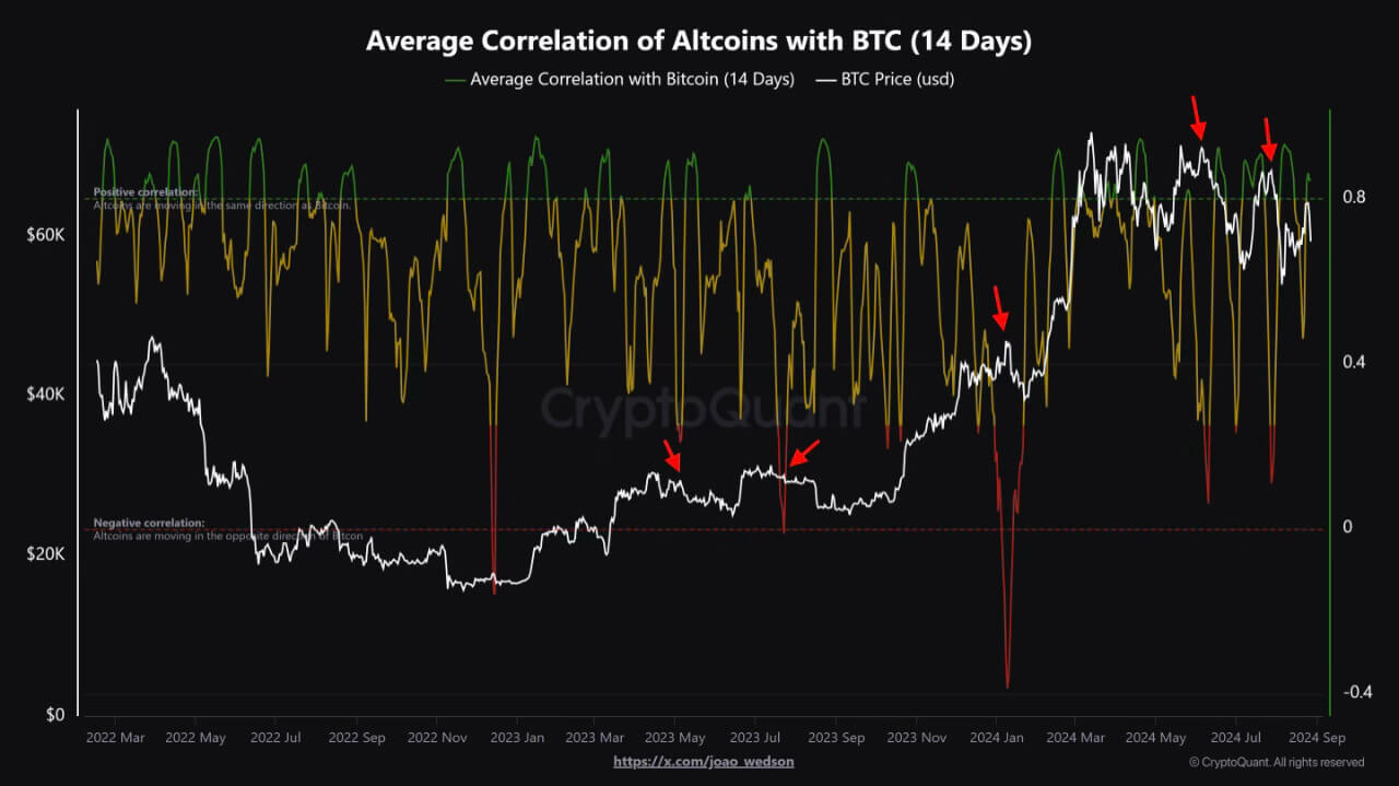 Average Correlation of Altcoins with BTC