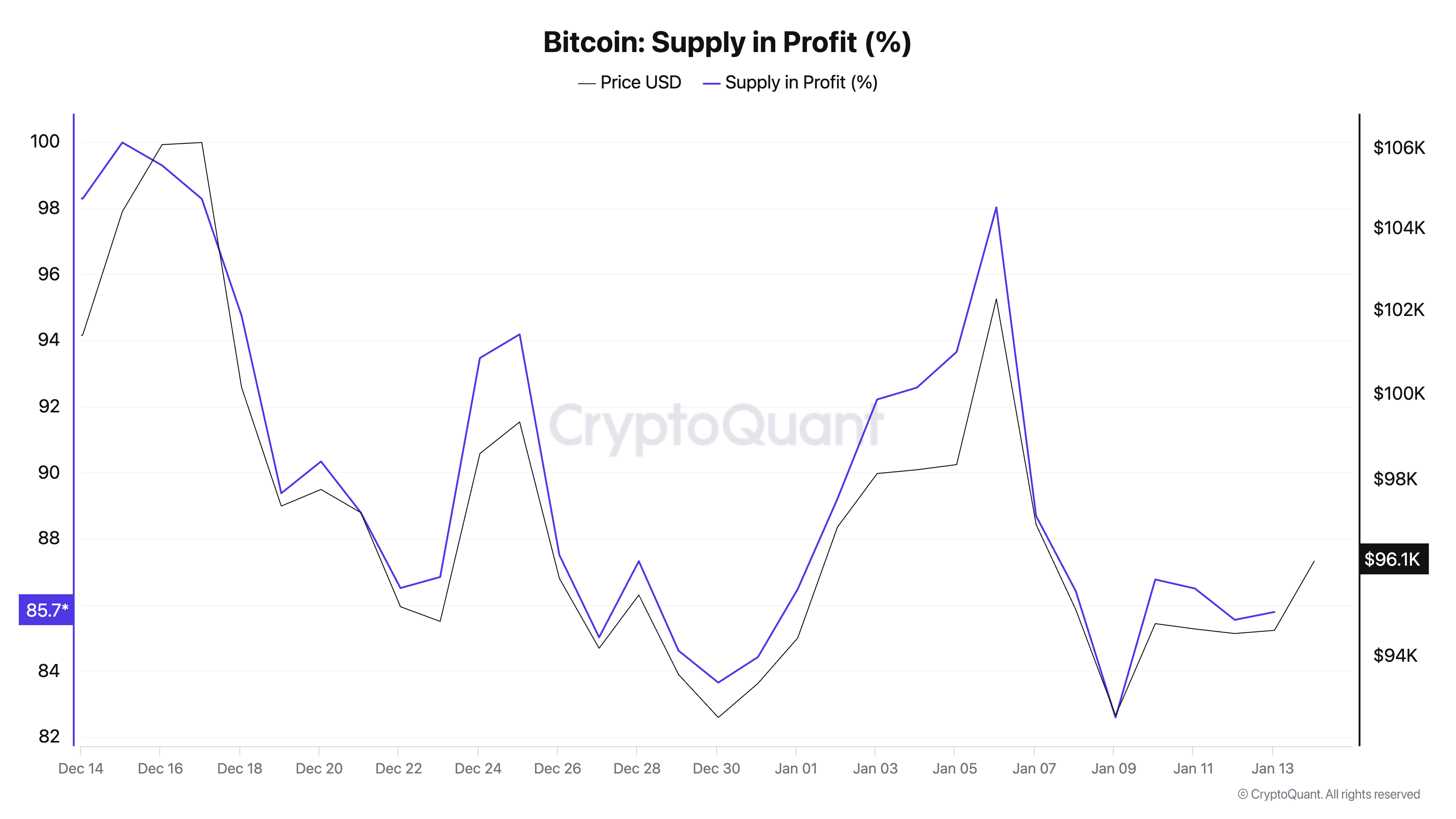 Bitcoin Supply in Profit (%)