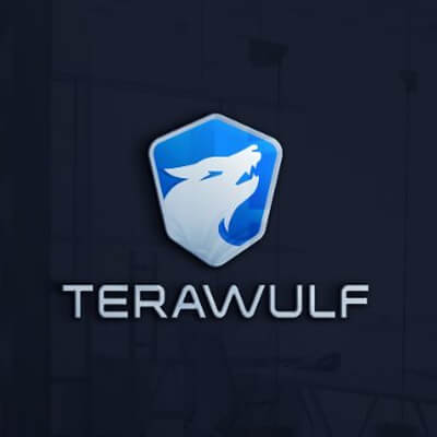 Terawulf logo