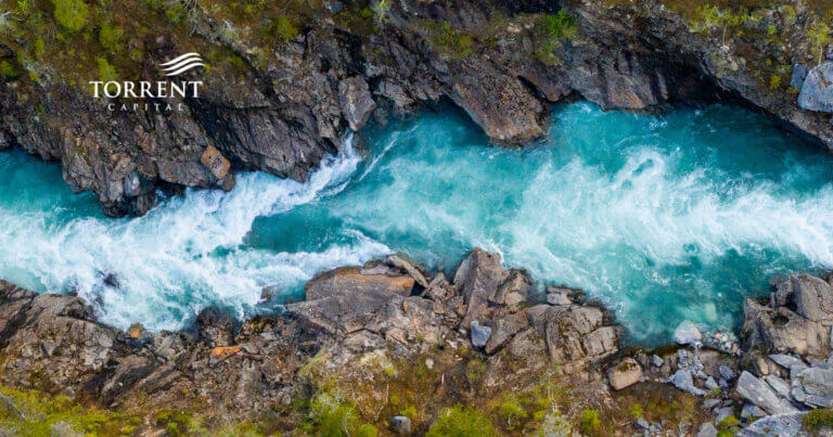 Torrent Capital Increases its Solana Holdings