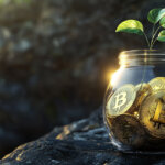 Mindshare-driven, high-momentum bets are the future of crypto VC investing