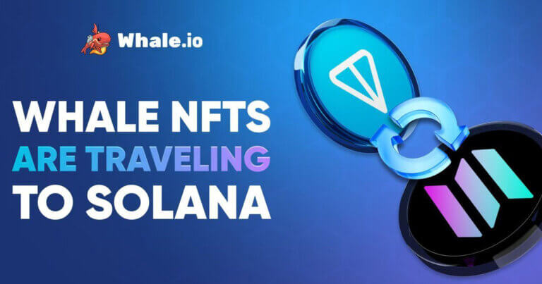 Whale NFT Bridge Goes Live: TON to Solana Migration Launches on Bridgemedaddy.com