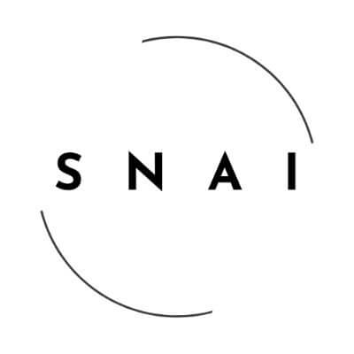 SwarmNode.ai