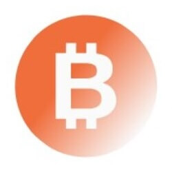 BitMine logo