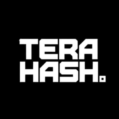 TeraHash logo