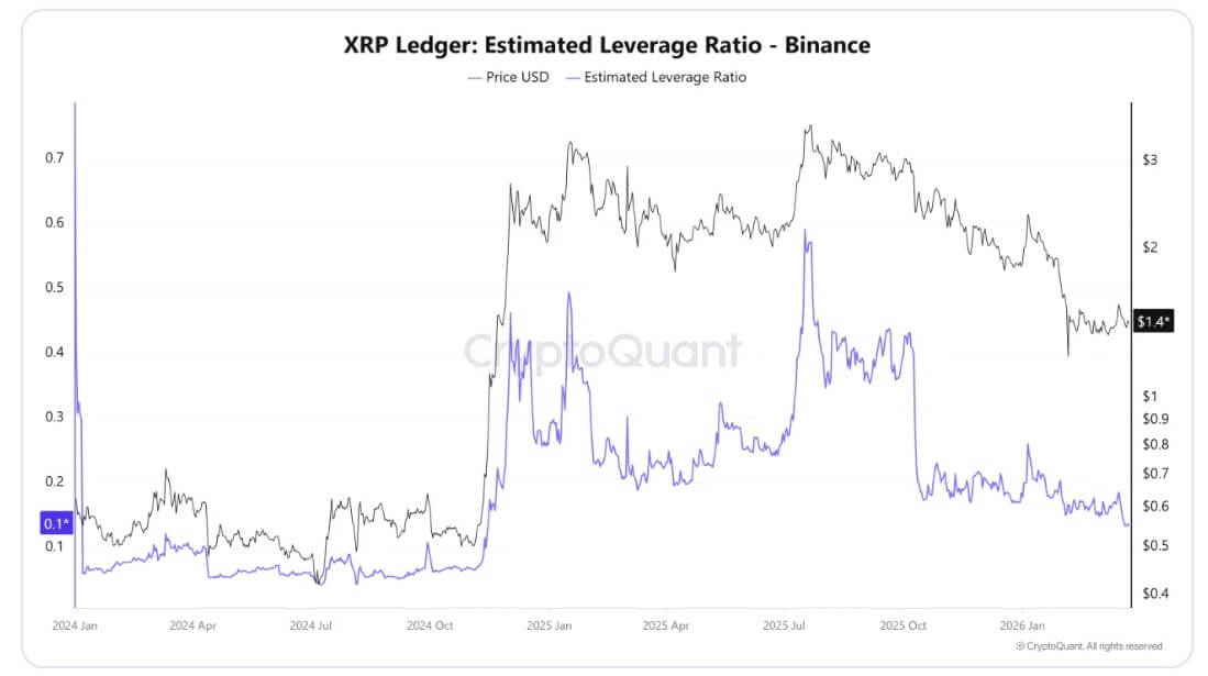 XRP's Estimated Leverage