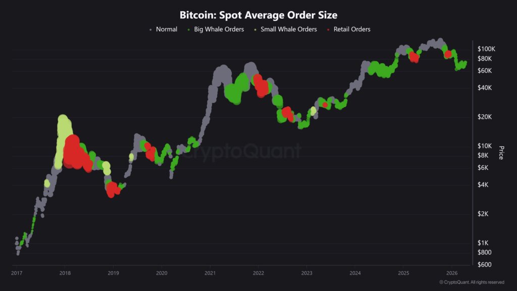 Dark-background CryptoQuant chart titled “Bitcoin: Spot Average Order Size” showing Bitcoin’s price from 2017 to 2026 as a series of colored dots. Gray marks indicate normal trading, green marks indicate big whale orders, light green marks indicate small whale orders, and red marks indicate retail orders. Whale activity clusters around several major rallies and corrections, with retail activity concentrated near some local tops and downturns.