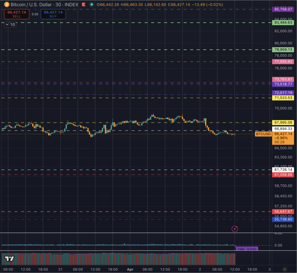 TradingView chart of Bitcoin price showing BTC/USD near $66,400 with multiple horizontal support and resistance levels marked during a recent pullback.