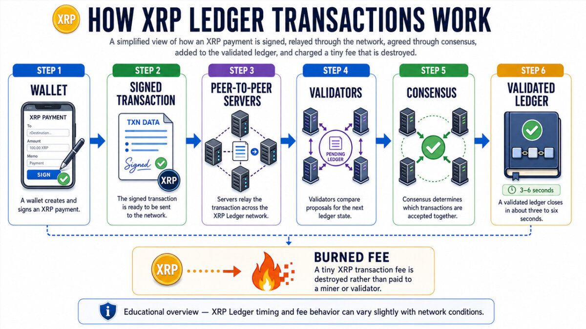 What Is XRP XRP Ledger And Ripple Explained what-is-xrp-xrp-ledger-and-ripple-explained