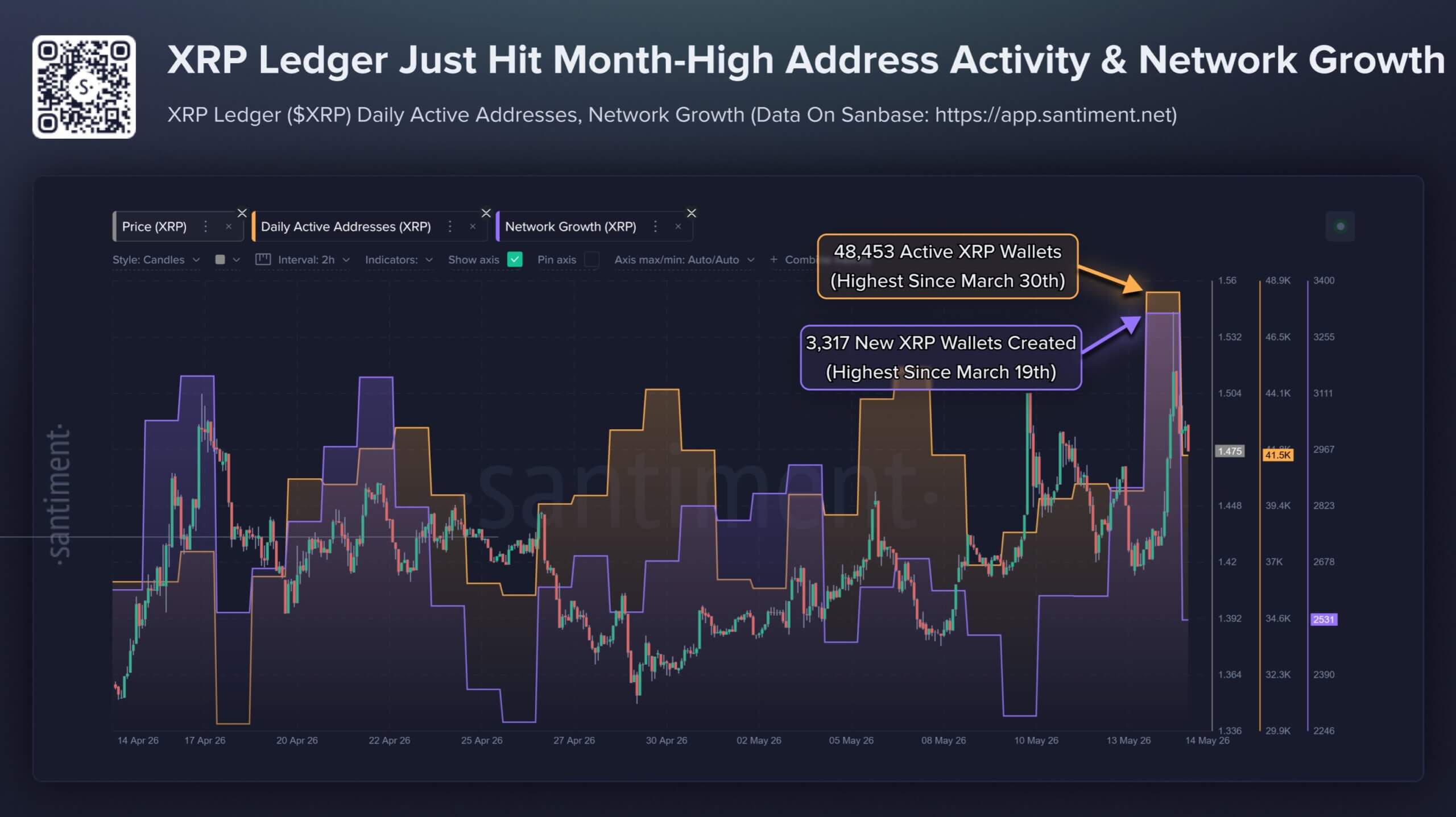 XRPL Network Activity