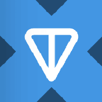Ton Strategy Tokenized Stock