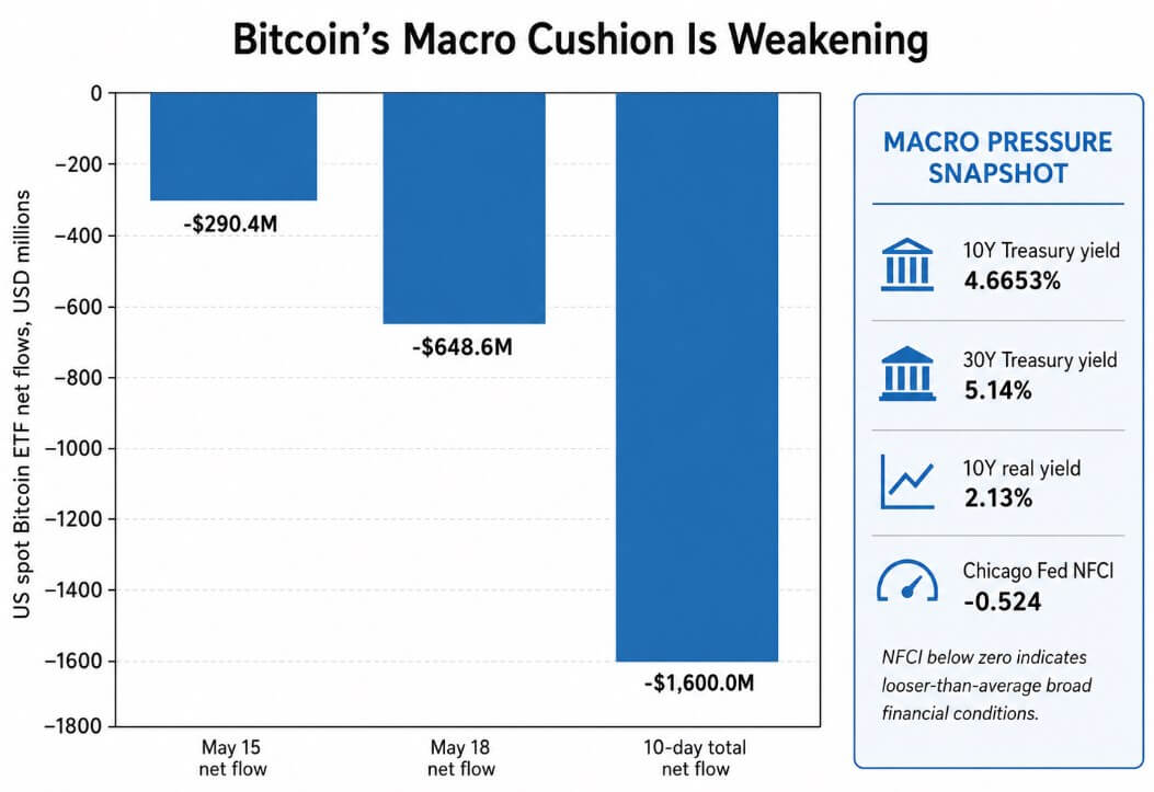 Bitcoin's macro cushion