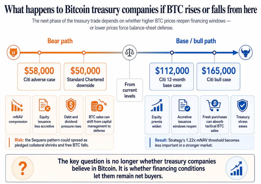 Bitcoin treasury companies potential outcomes