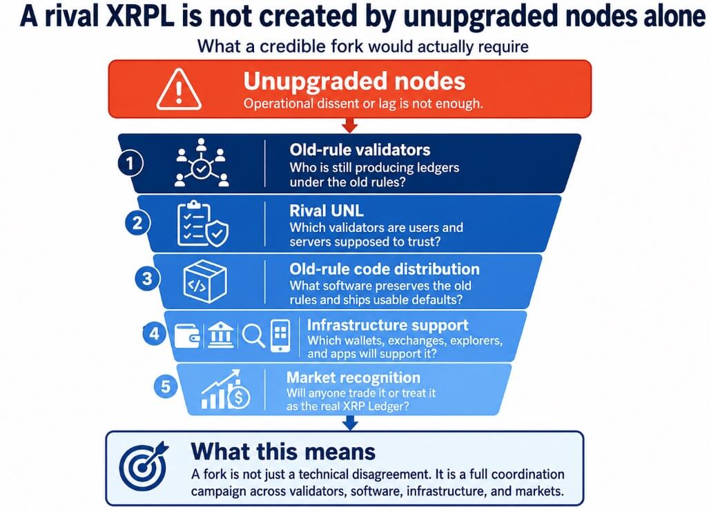 XRPL and the relation with nodes