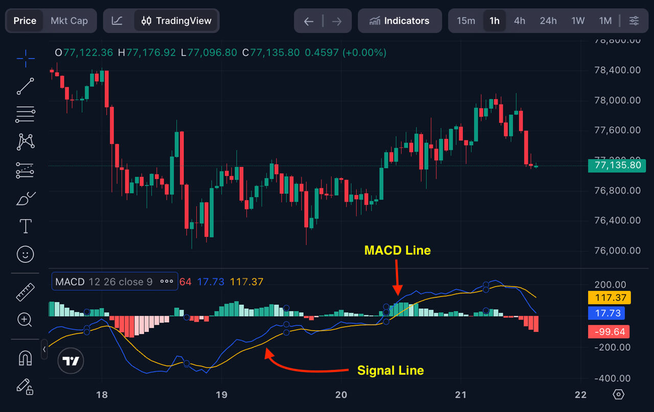 What Is the MACD Indicator and How To Use It? A Beginner's Guide