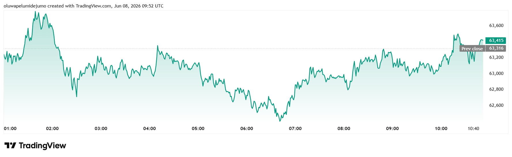 Bitcoin Price Performance