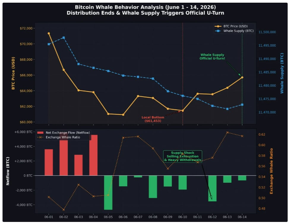 Bitcoin Whale Behavior