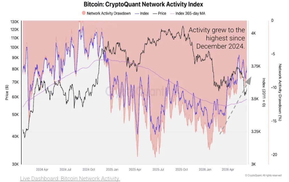 Bitcoin Network Activity
