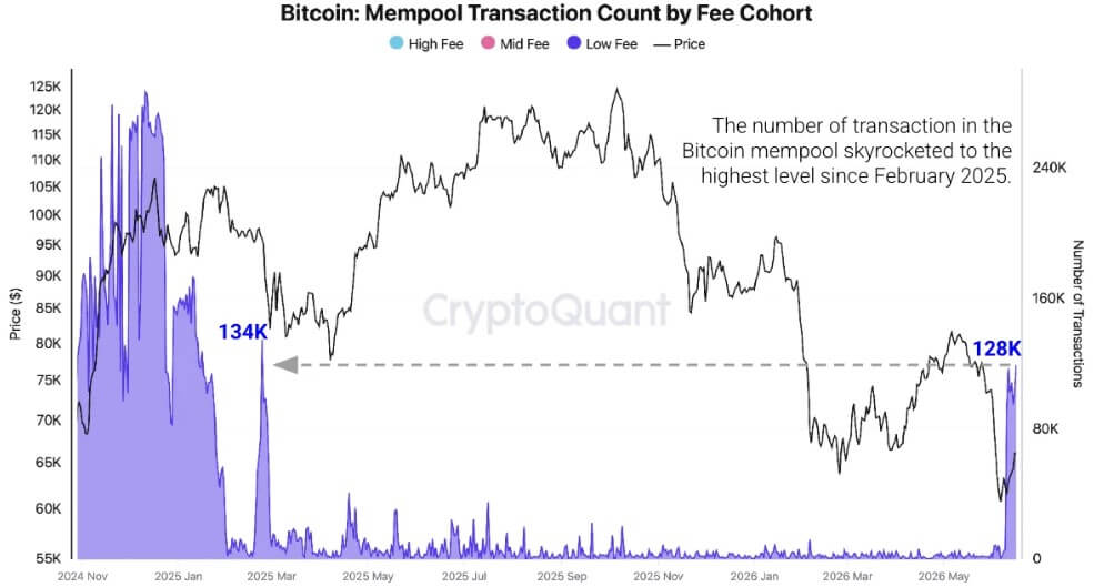 Bitcoin Mempool Transactions