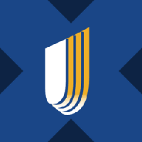 UnitedHealth Tokenized Stock