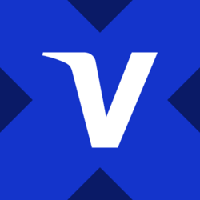 Visa Tokenized Stock