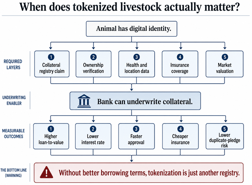 When does tokenized livestock actually matter?