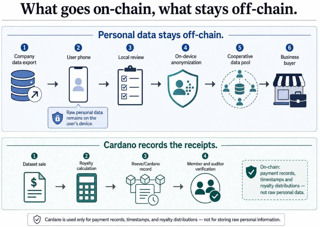 What goes on-chain, what stays off-chain