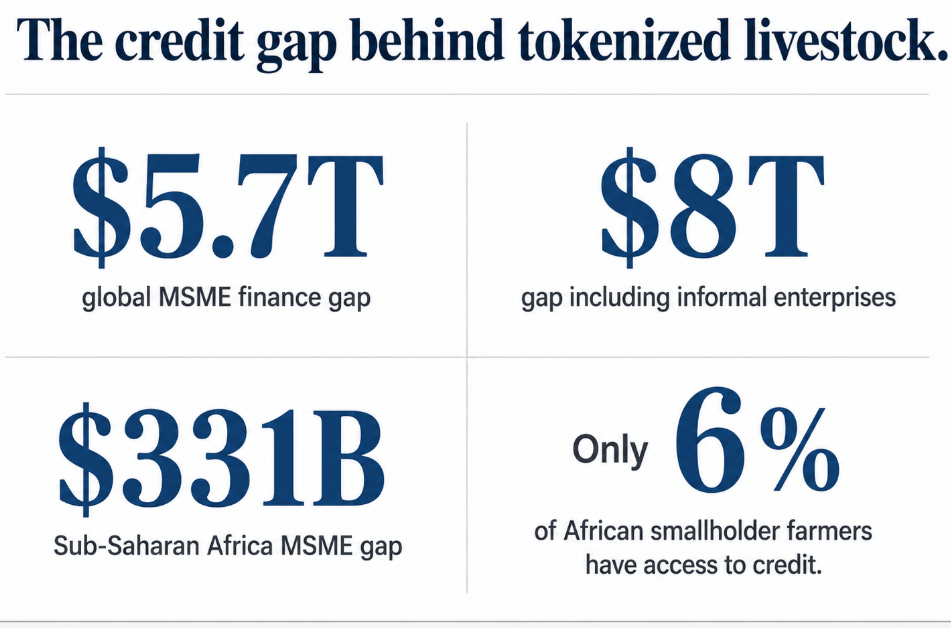 How 10 cows in Brazil unlocked a tokenized path to bridge an  trillion global finance gap