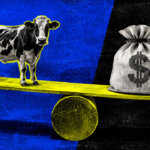 Featured image for How 10 cows in Brazil unlocked a tokenized path to bridge an $8 trillion global finance gap