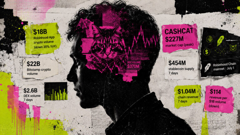 a silhouetted male profile containing a hot-magenta cat, market chart, and DEX volume graphic, surrounded by torn-paper data showing Robinhood app and Bitstamp crypto volume, CASHCAT market cap, stablecoin supply, chain revenue, and Robinhood Chain mainnet metrics.