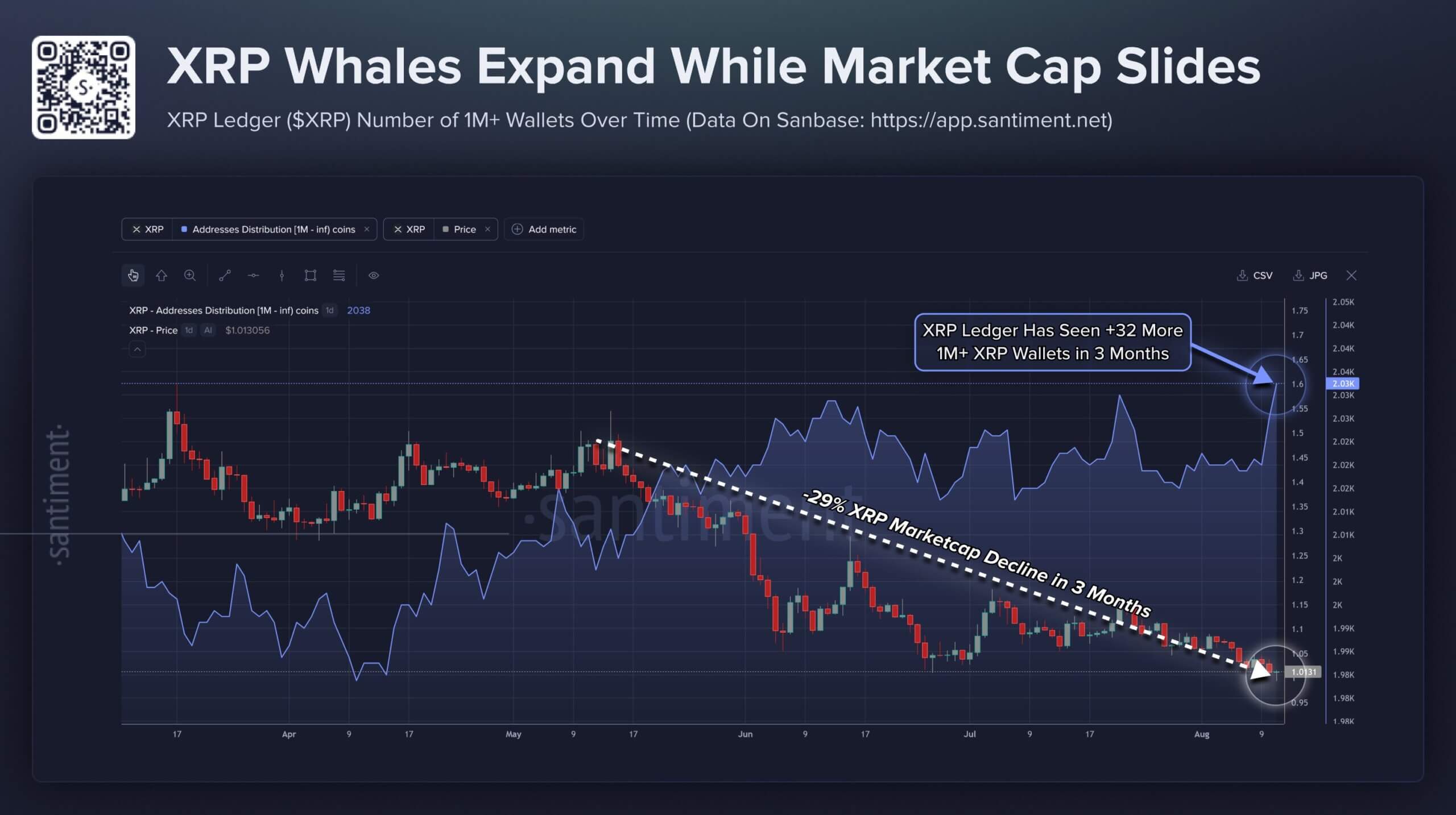 XRP whale holdings increased over the last three months