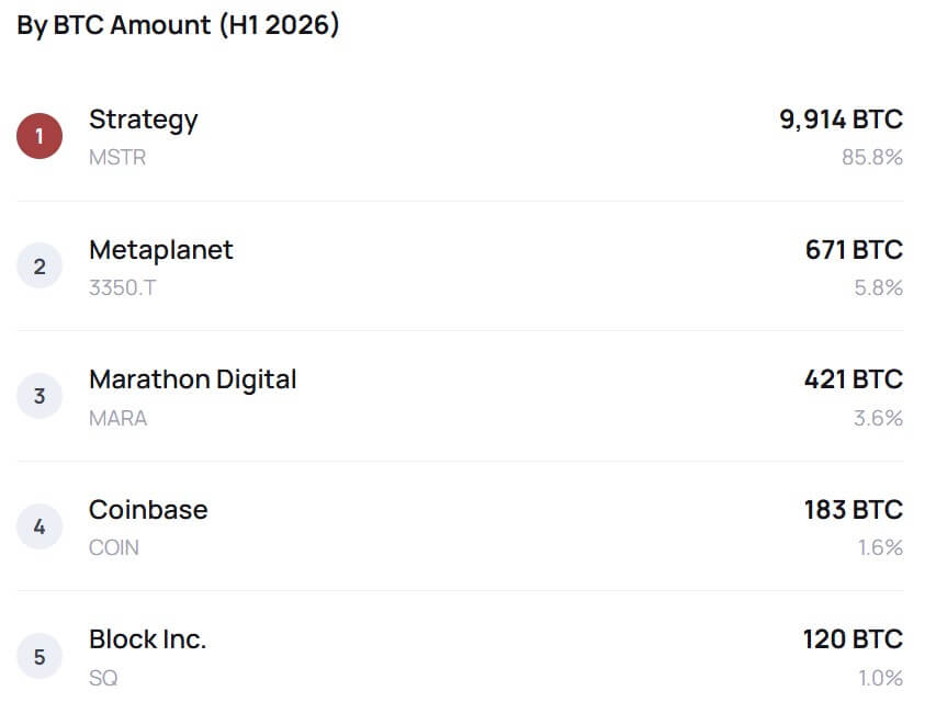 Strategy Dominates Norway Sovereign Fund's Indirect Bitcoin Exposure 