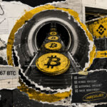 Featured image for A mysterious whale just funneled 6,494 BTC into Binance, triggering massive sell-off fears