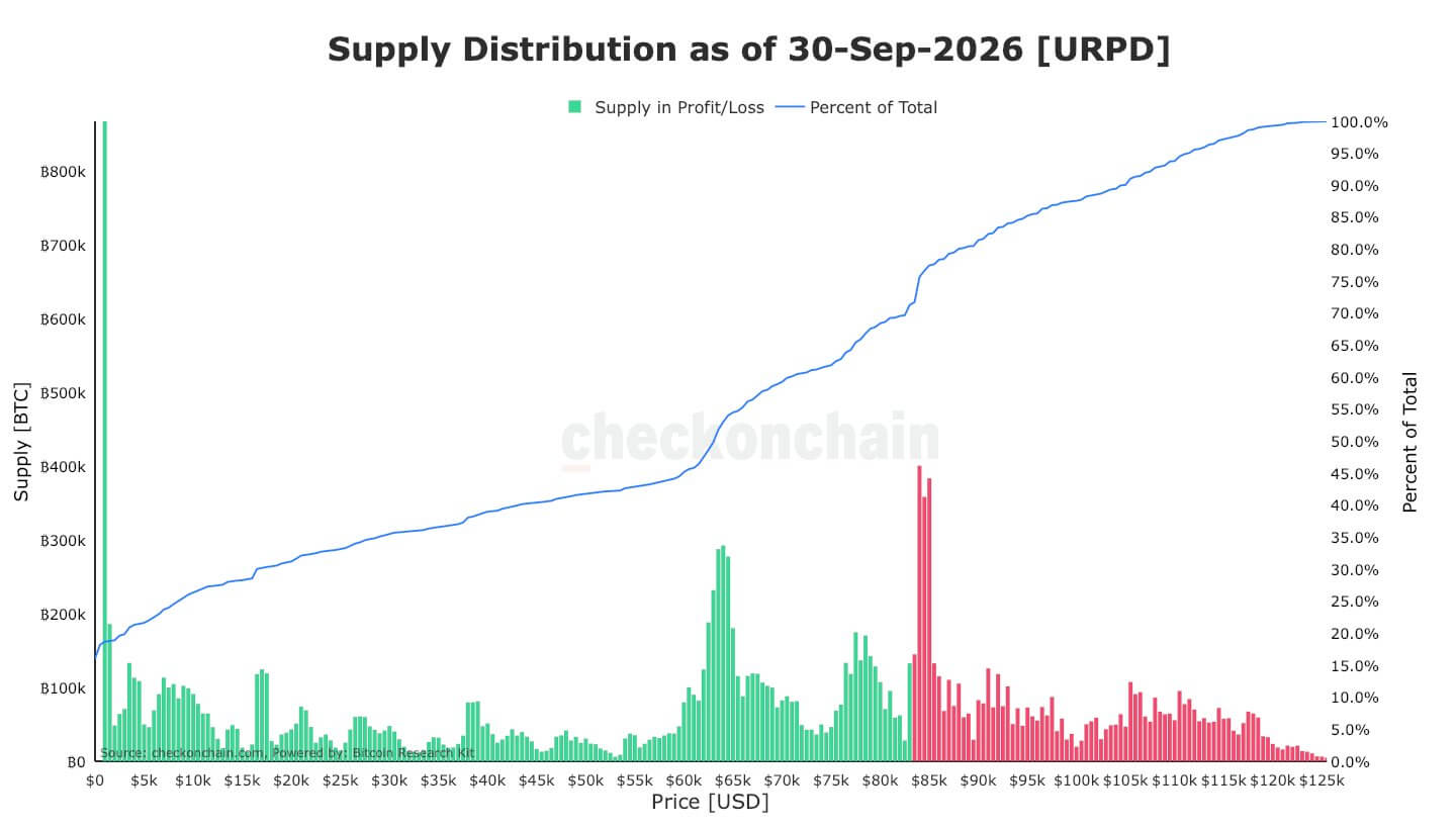 Bitcoin Supply Distribution in Profit and Loss