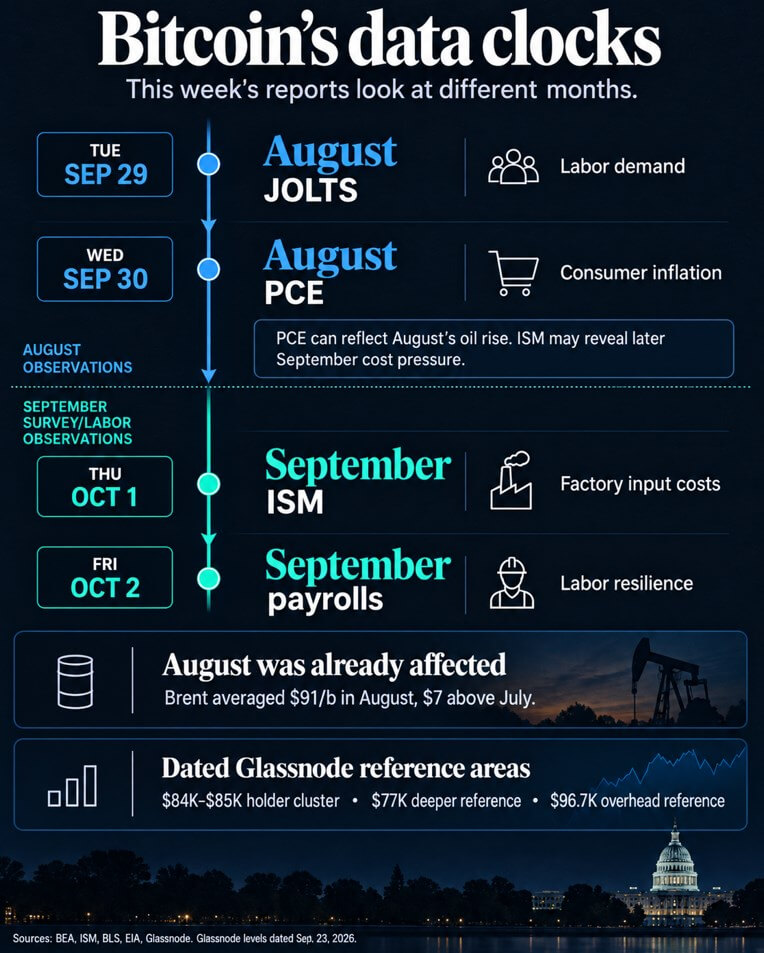 Bitcoin's data clocks