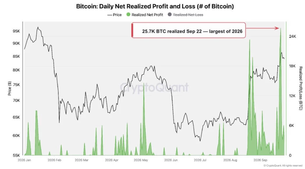 Bitcoin Realized Profit