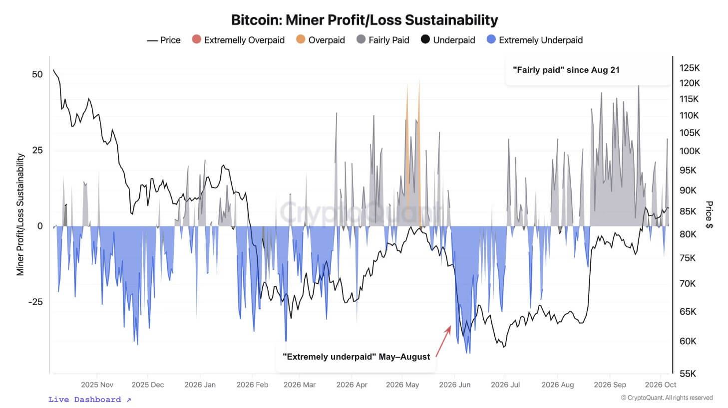 Bitcoin Miners Profitability and Sustainability