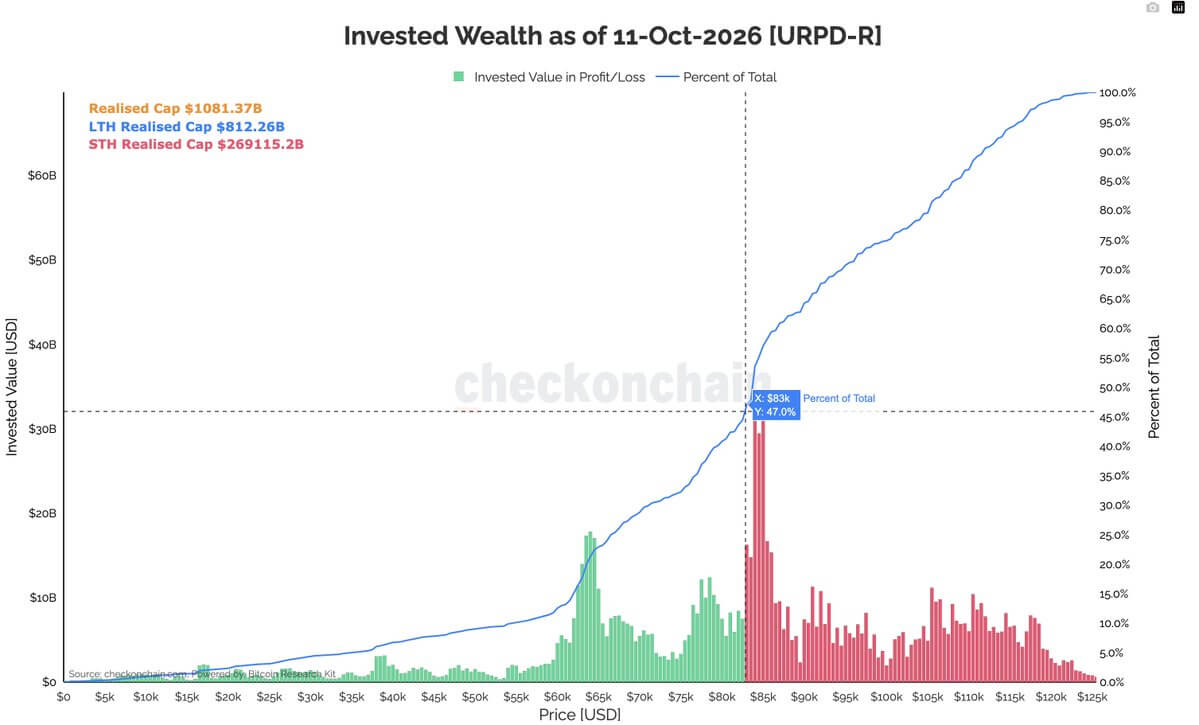 Bitcoin Invested Wealth