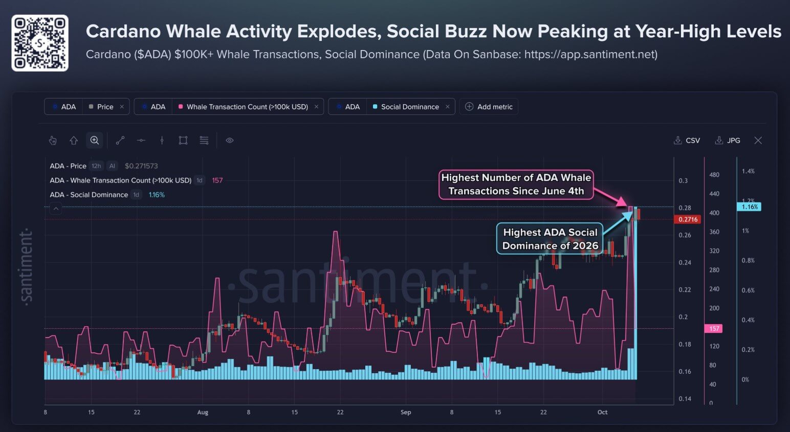 Cardano whale activity explodes