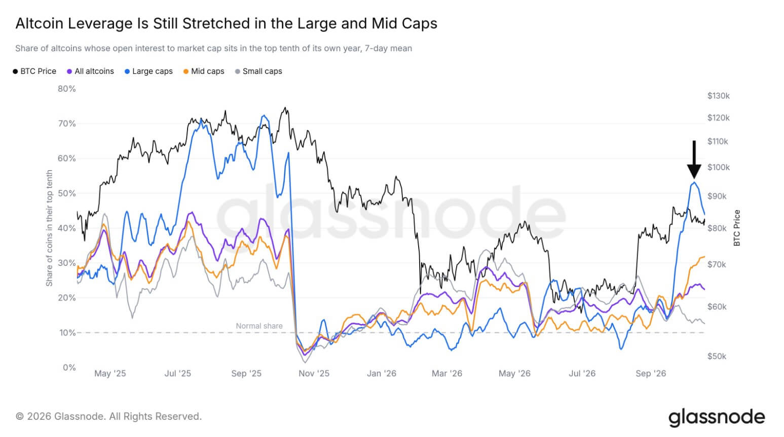 Altcoin leverage is still stretched in the large and mid caps, affecting XRP